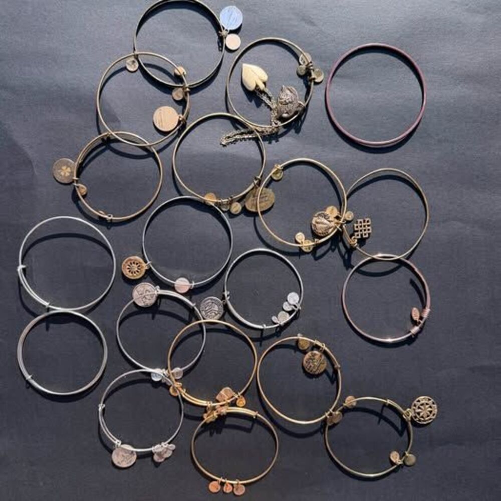 Huge Lot of Alex and Ani Charm Bangle Bracelets – Disney, NYC Subway, Bears, etc